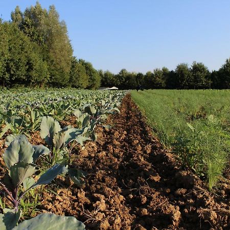 Agriturismo Corte Bertesina Vicenza Eksteriør bilde