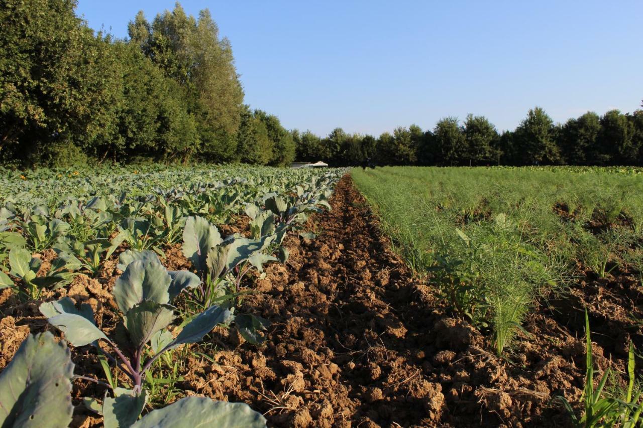 Agriturismo Corte Bertesina Vicenza Eksteriør bilde